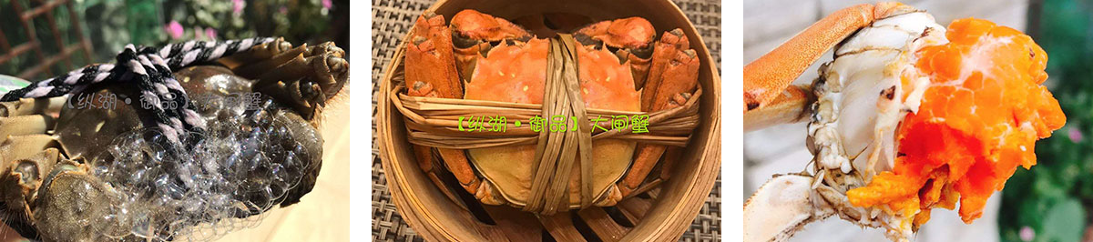 1599295069758219.jpg 1599201836893727.jpg